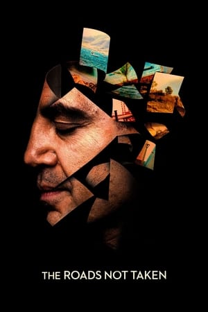 The Roads Not Taken (2020) Hindi Dual Audio –